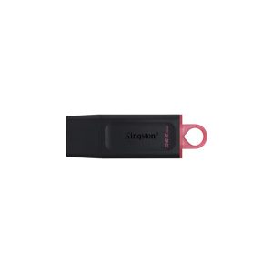 MEMORIA USB 256GB 3.2 KINGSTON DTX/256GB