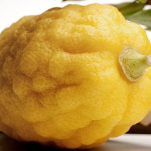Cassetta di Cedri Calabresi - 27 Kg Prodotto Tipico Calabrese